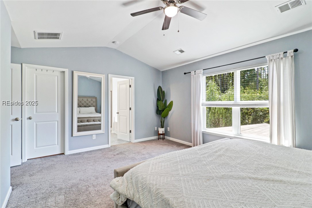 206 Shumard Oak