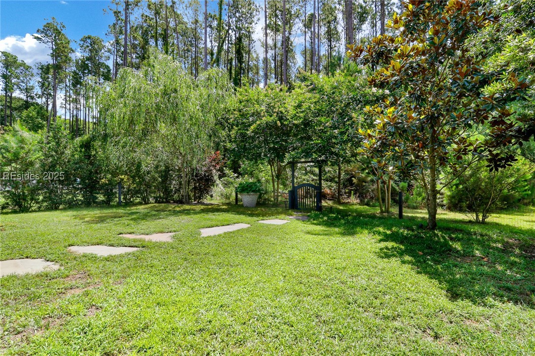 206 Shumard Oak