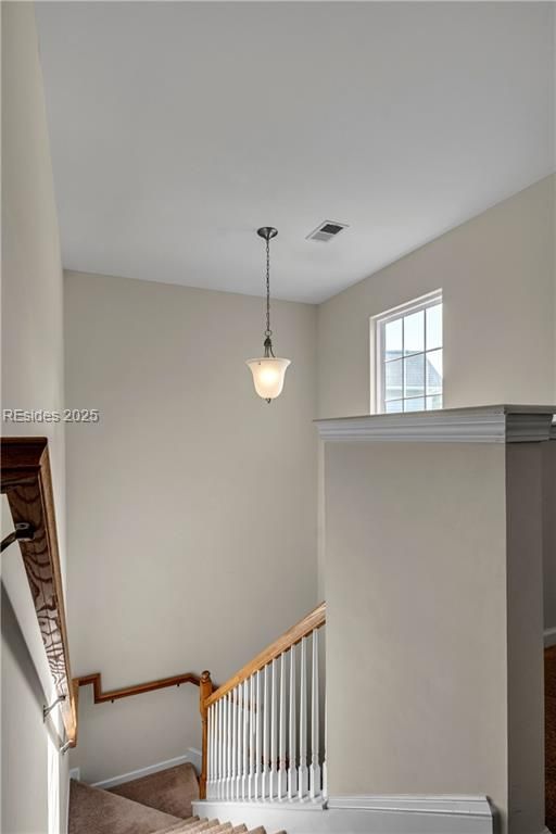 241 Turkey Oak Drive