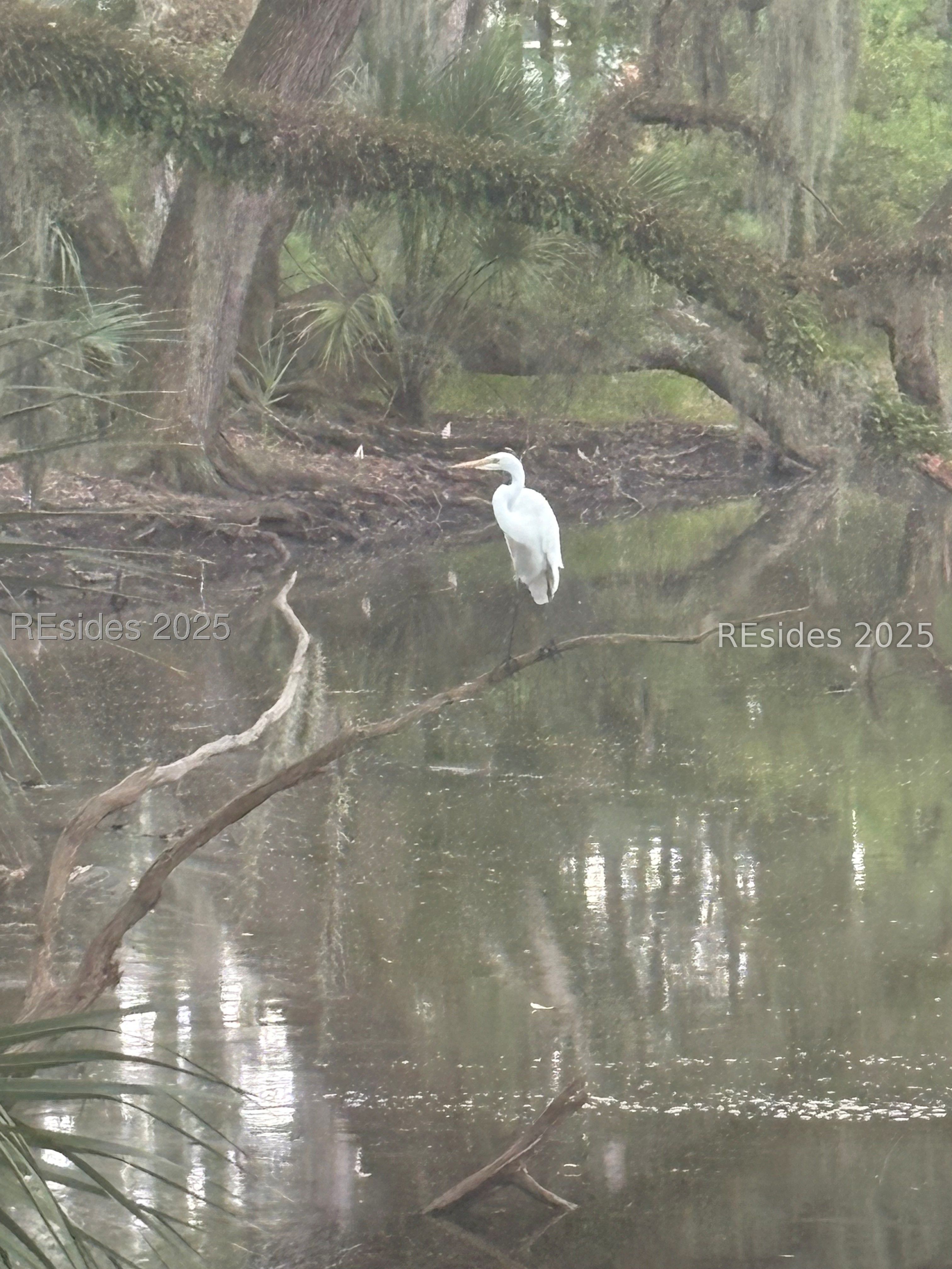 8 Dolphin Point Drive