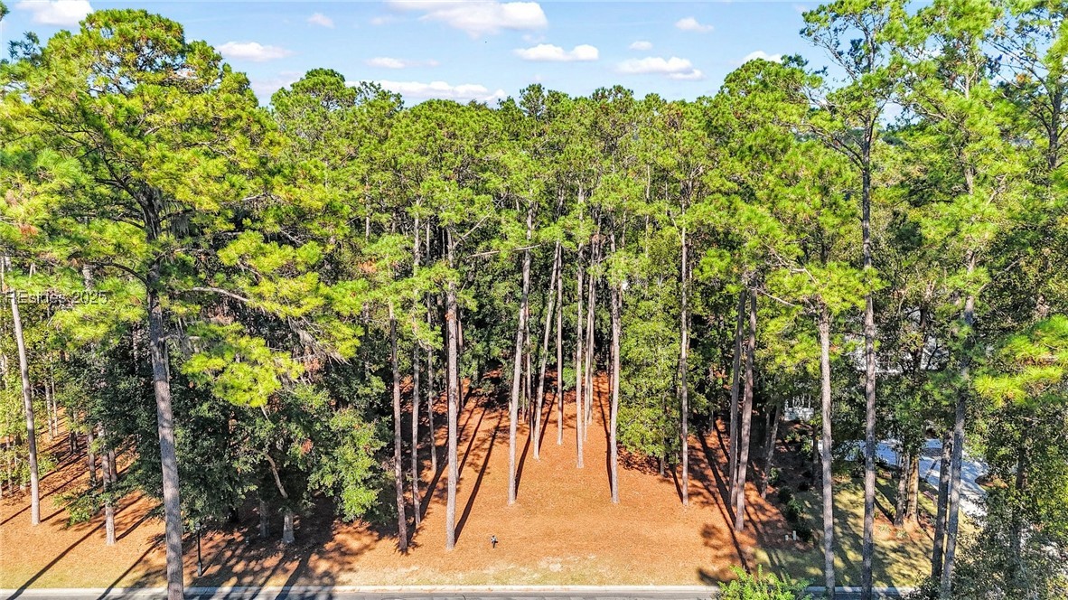 117 Summerton Drive