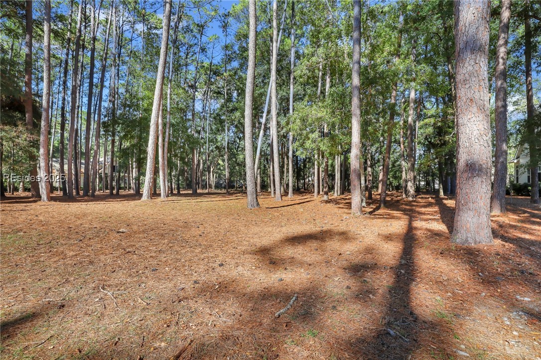 117 Summerton Drive