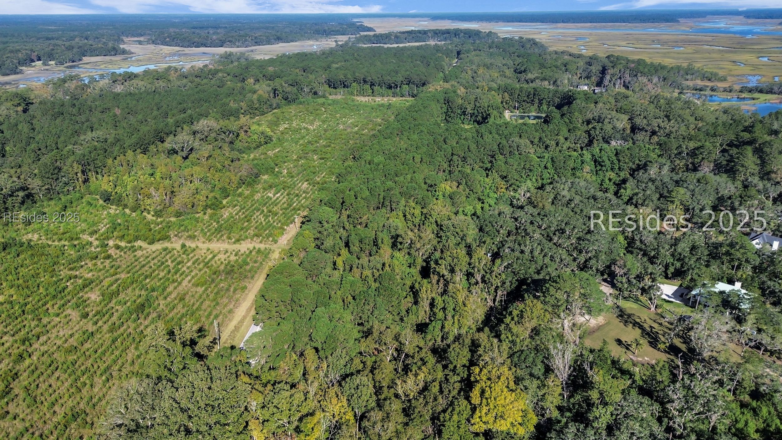 Parcel AA Knowles Island RD