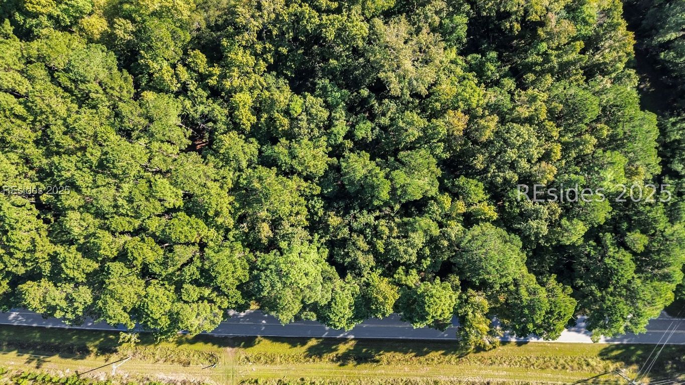 Parcel AA Knowles Island RD