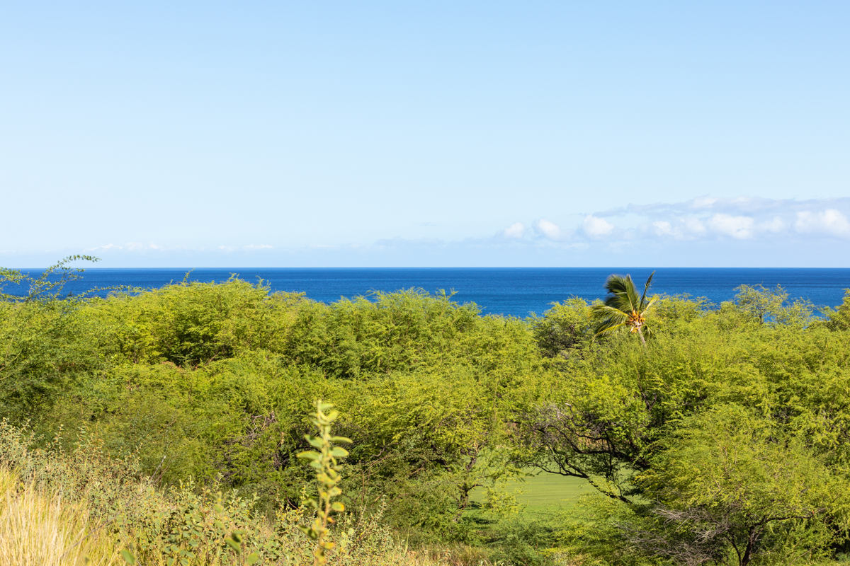 62-3765 KAUNAOA NUI RD