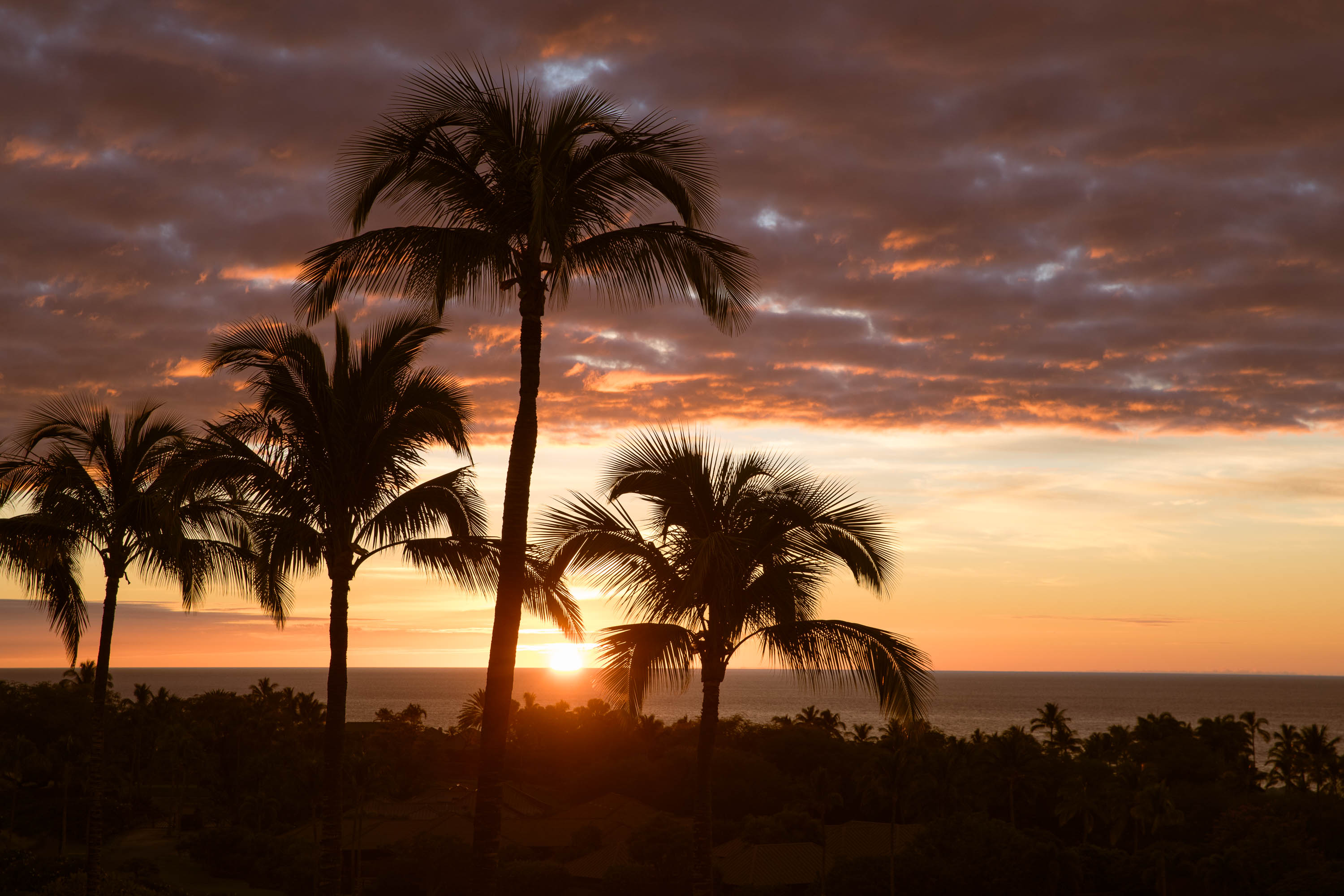 62-3979 KAUNAOA IKI RD 2A