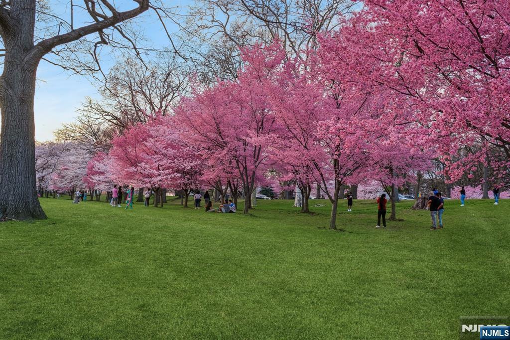 363-377 Mt Prospect Avenue 6DW