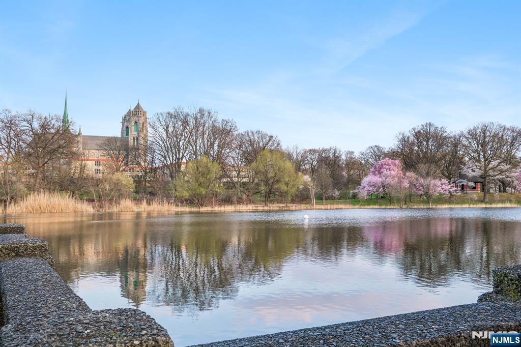 363-377 Mt Prospect Avenue 6DW