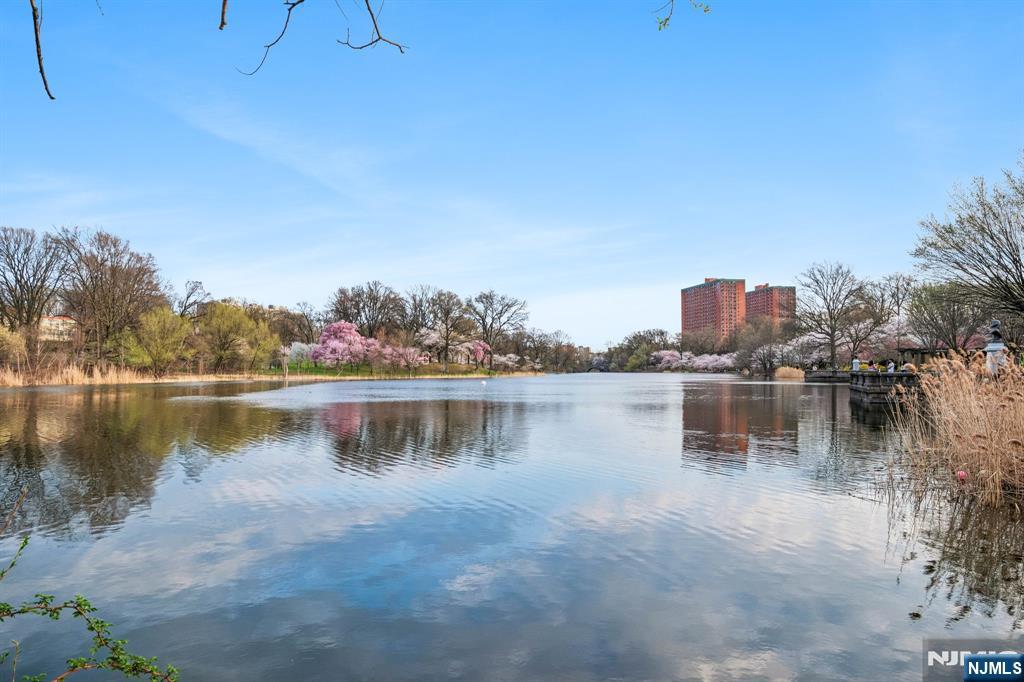 363-377 Mt Prospect Avenue 6DW