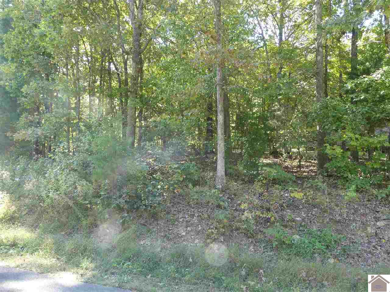 359 Waterway Trail (Lot # 119)