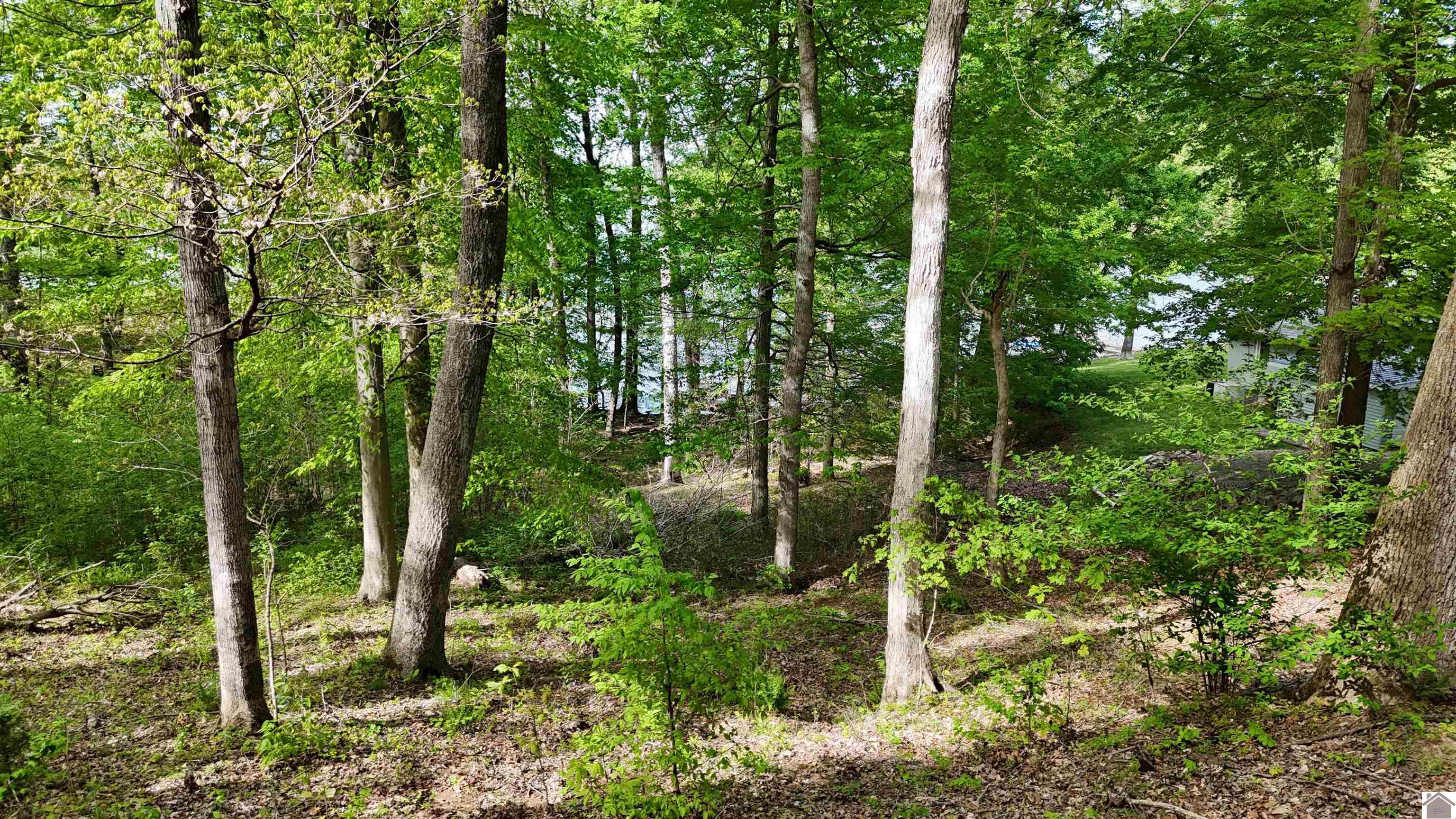 305 Forest Glen Dr. Unit: Lake Barkley