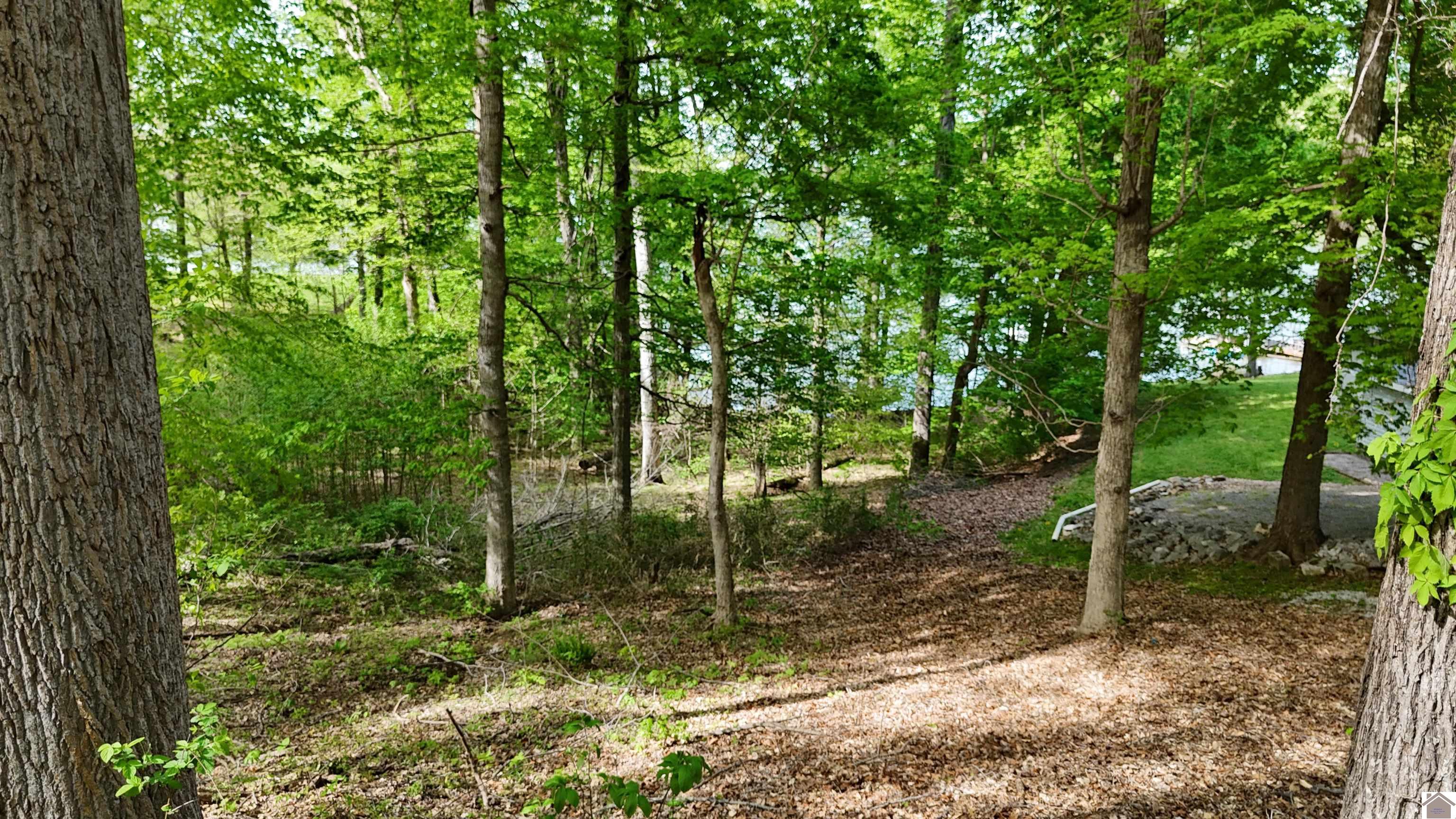 305 Forest Glen Dr. Unit: Lake Barkley
