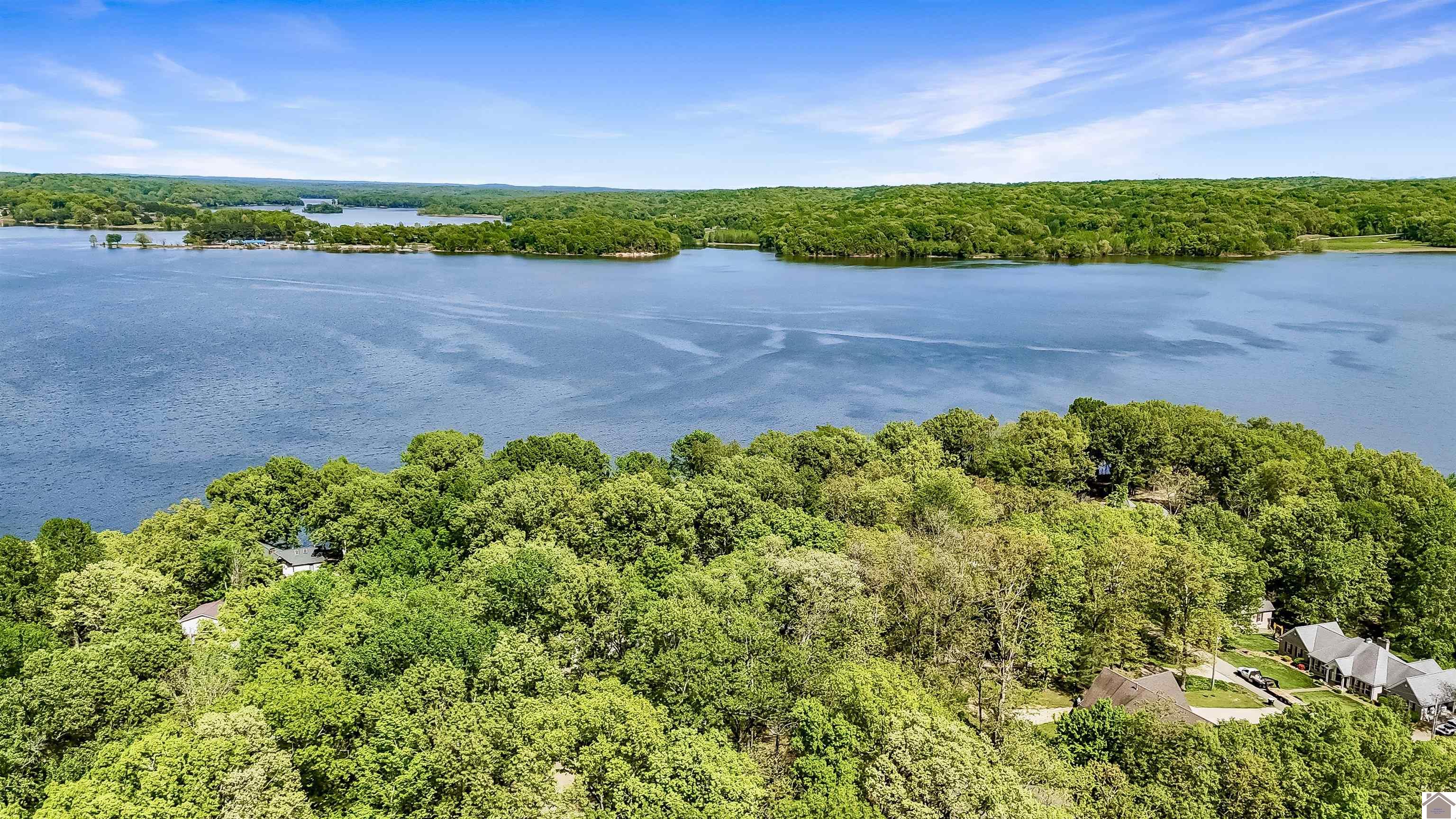 695 Bayshore Unit: Lake Barkley
