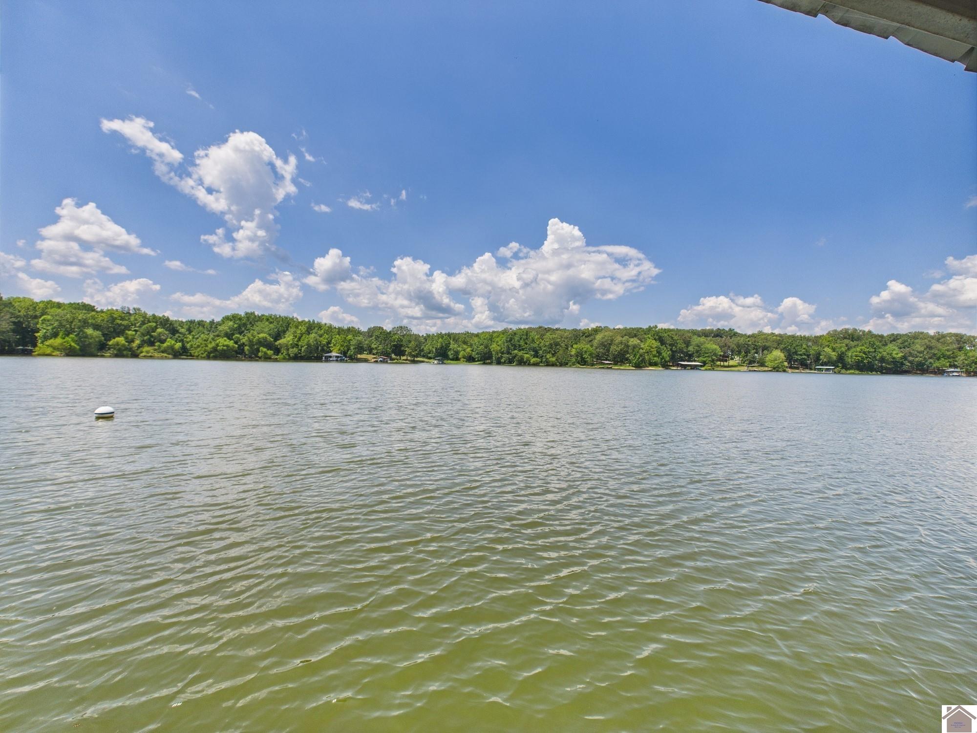 796 Blue Springs Blvd