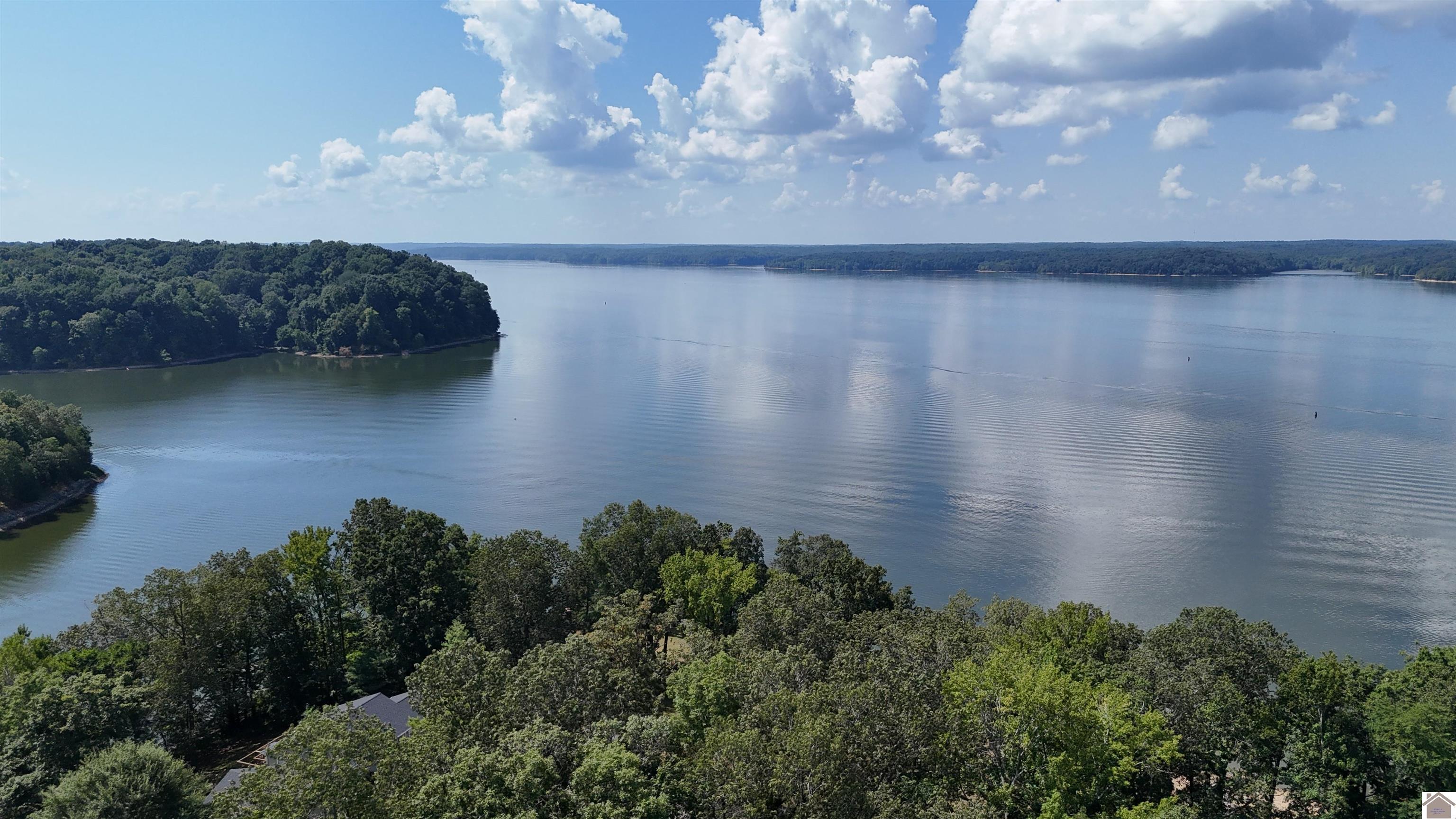 73 Mingo Drive Unit: Lake Barkley