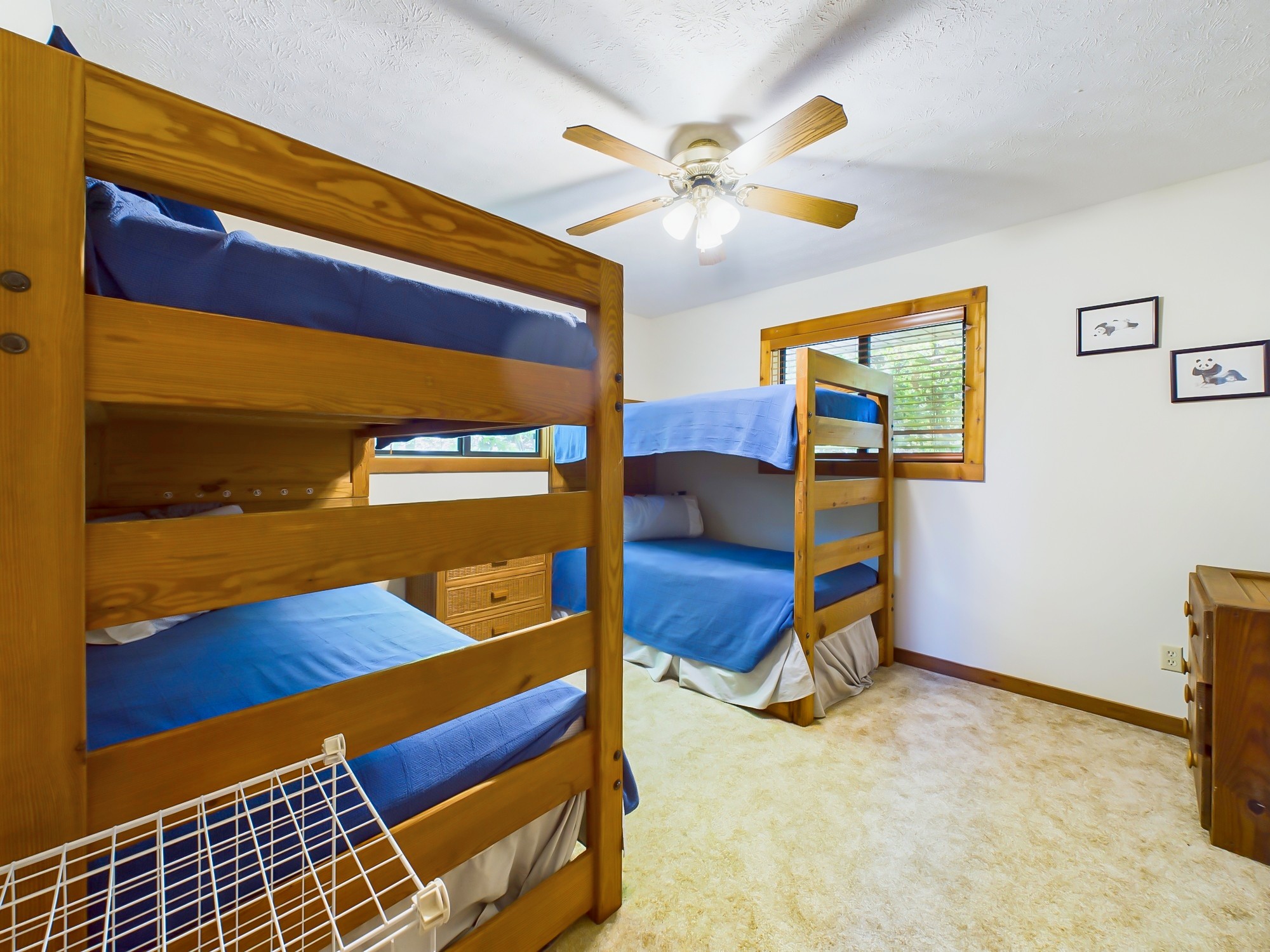 244 Arlington Ct