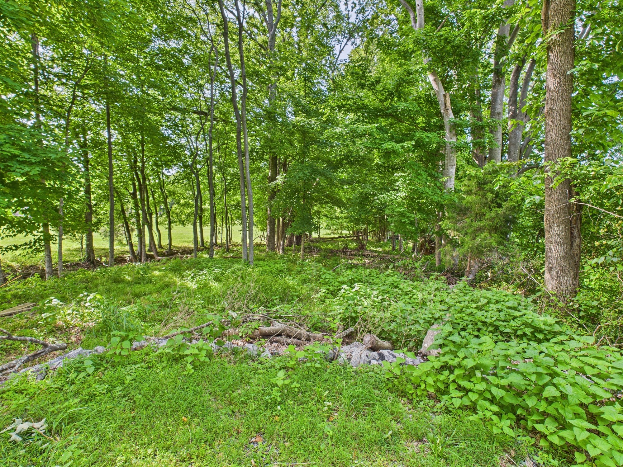 836 Prizer Point Rd