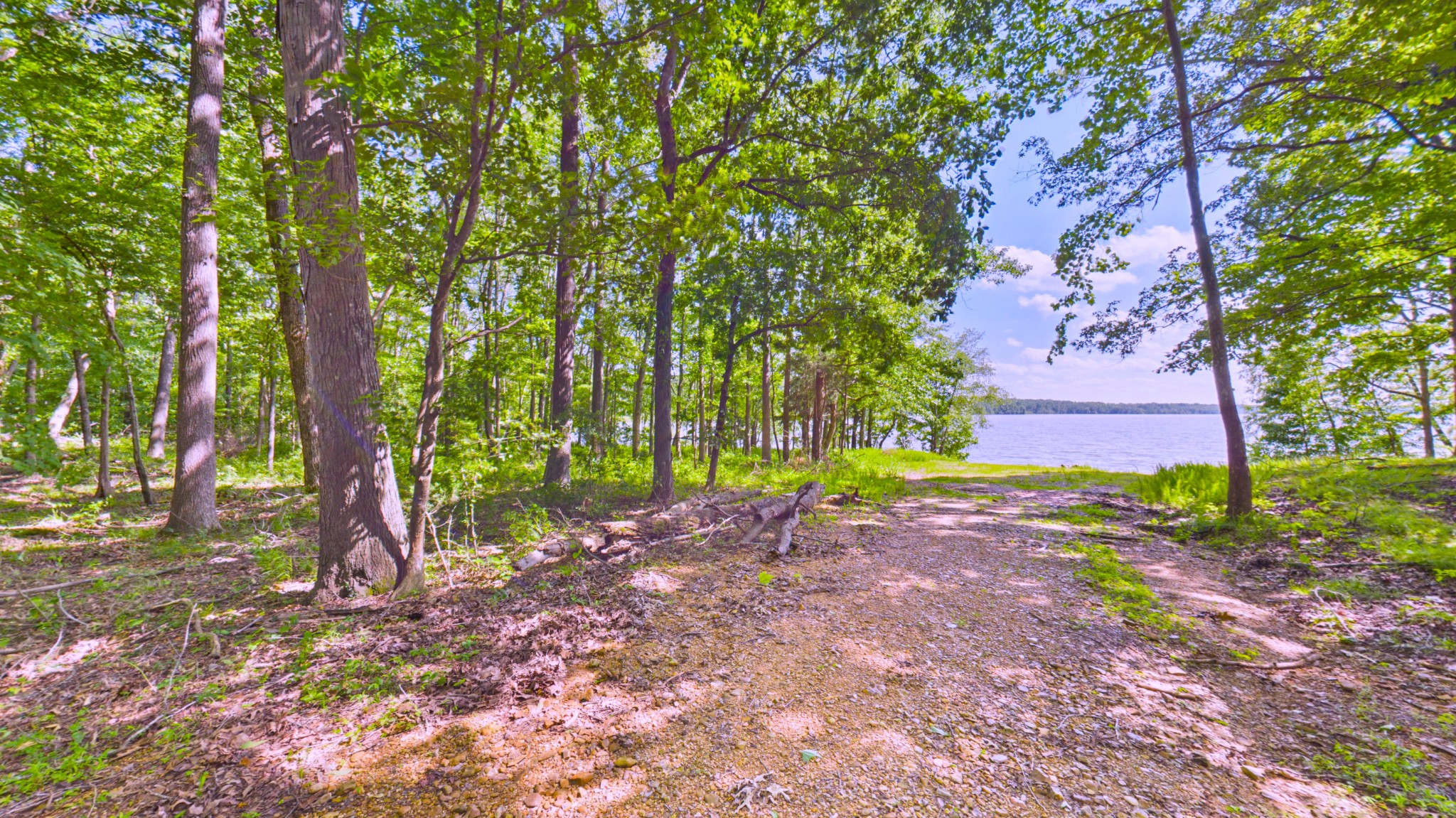 865 Pittman Dr