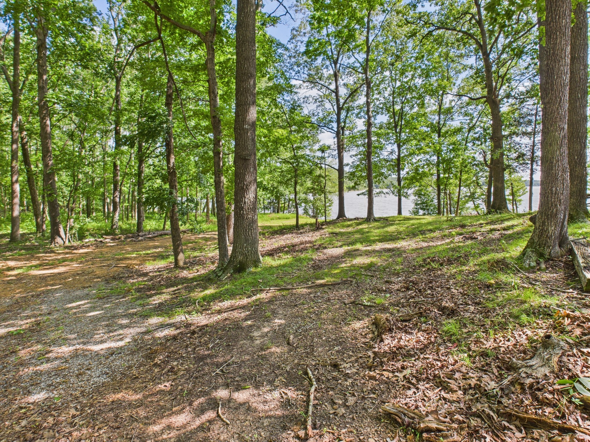865 Pittman Dr