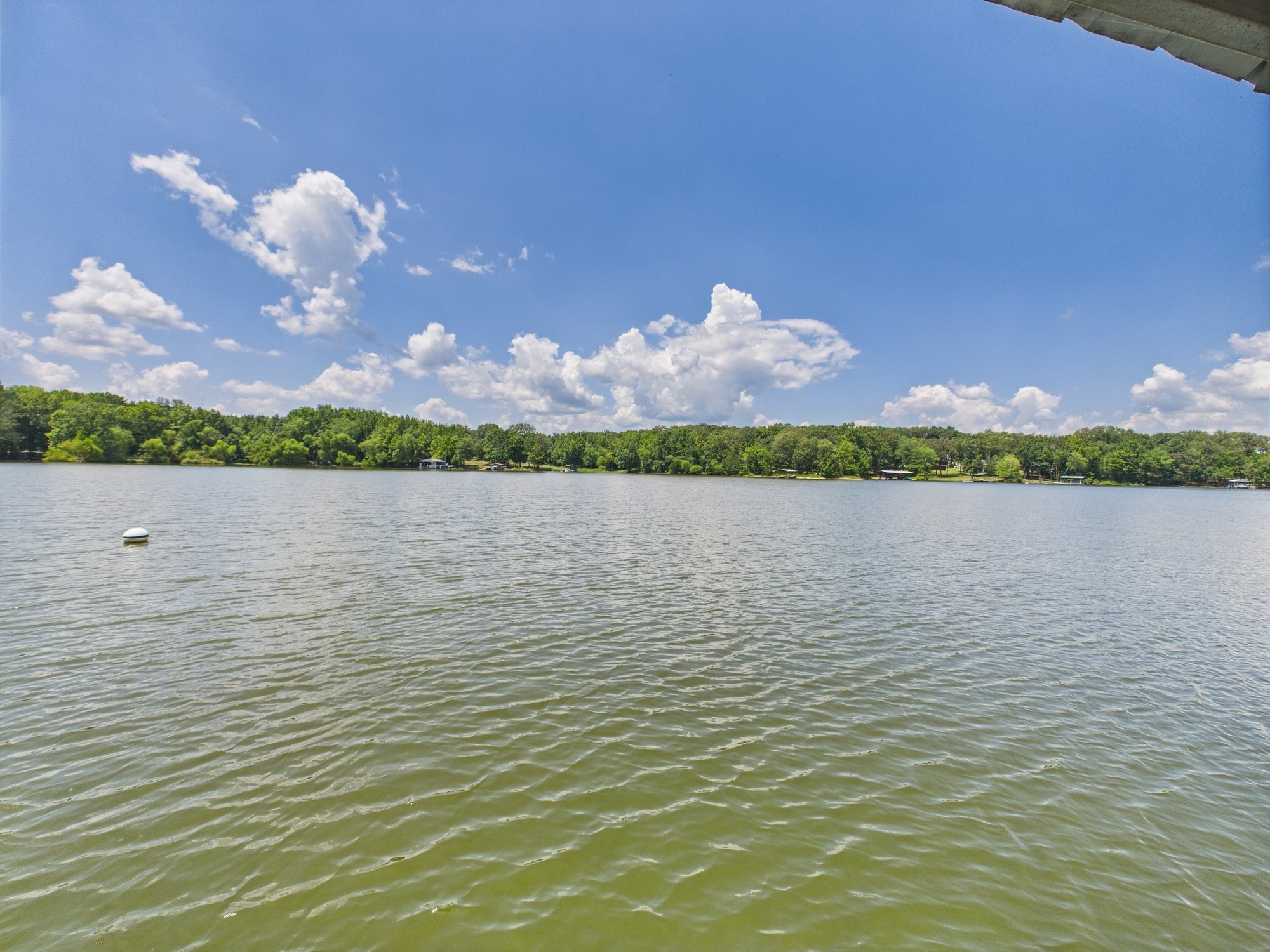 796 Blue Springs Blvd