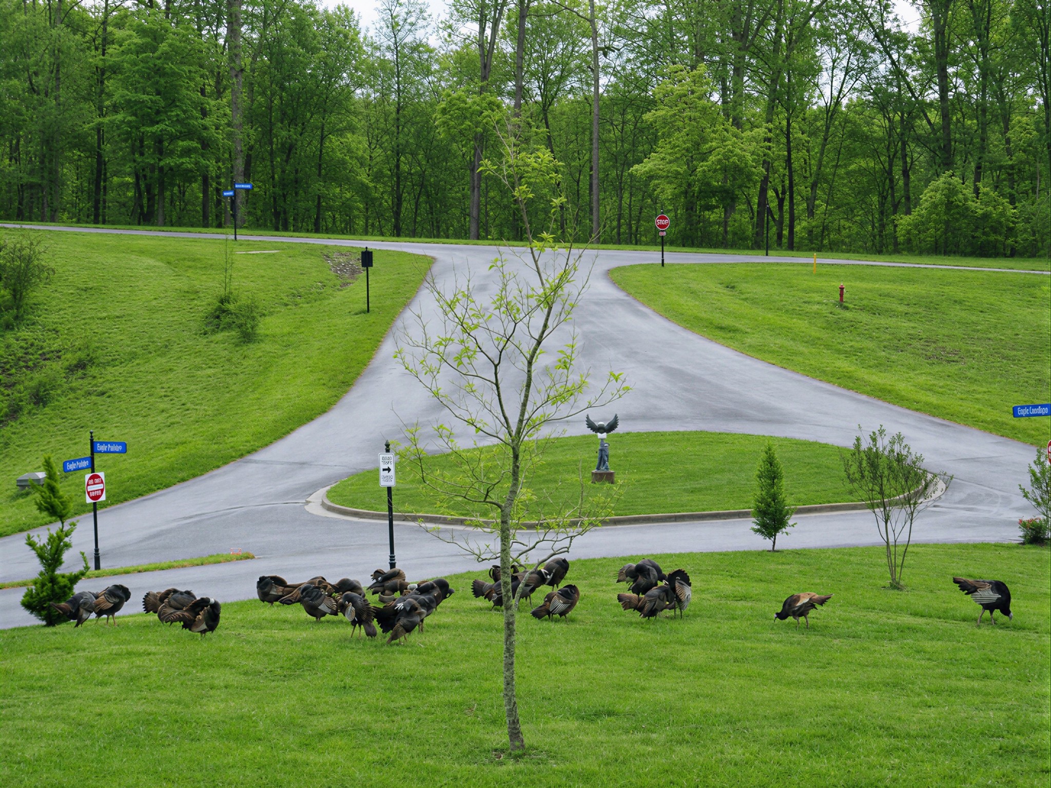 55 Eagles Landing