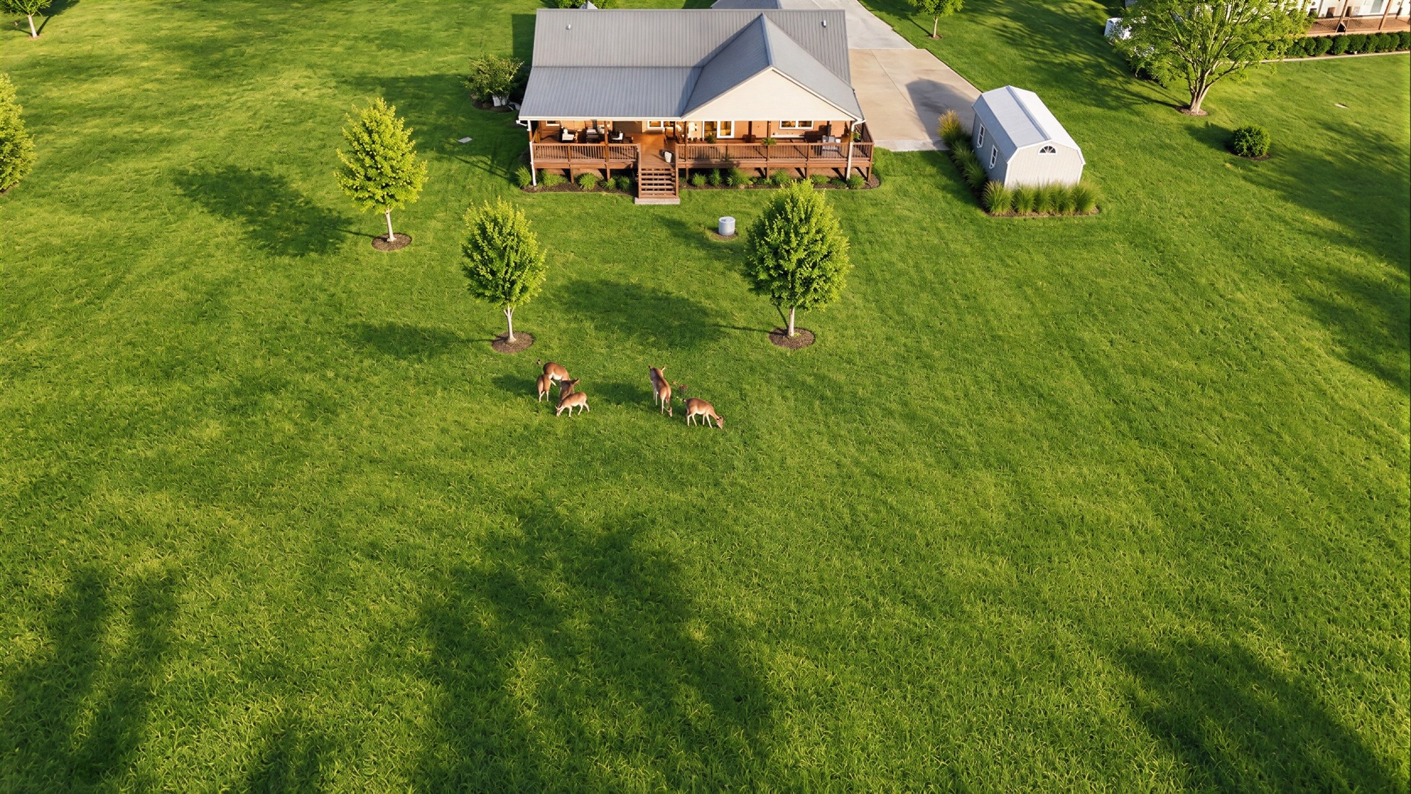 325 Destiny Ln