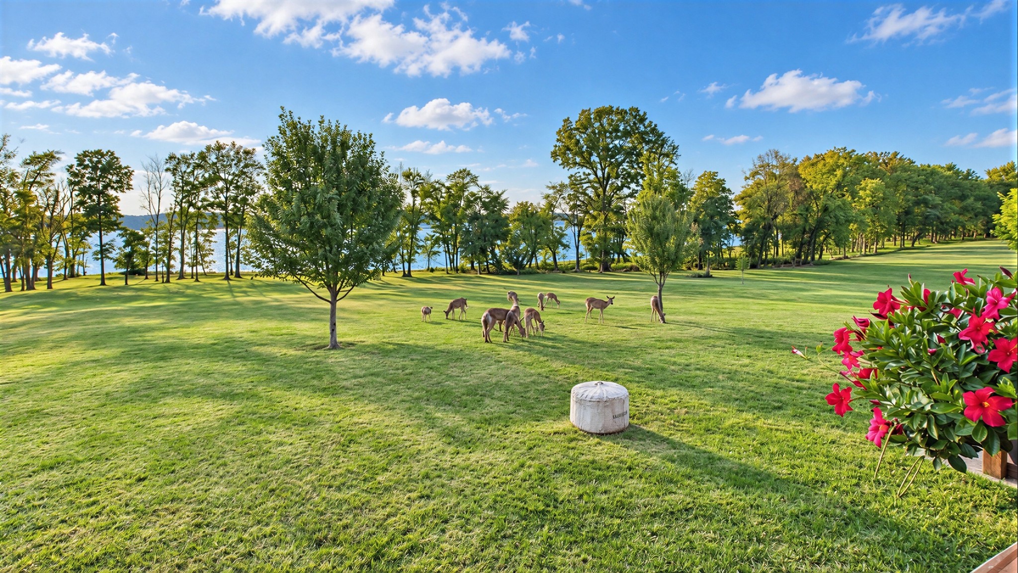 325 Destiny Ln