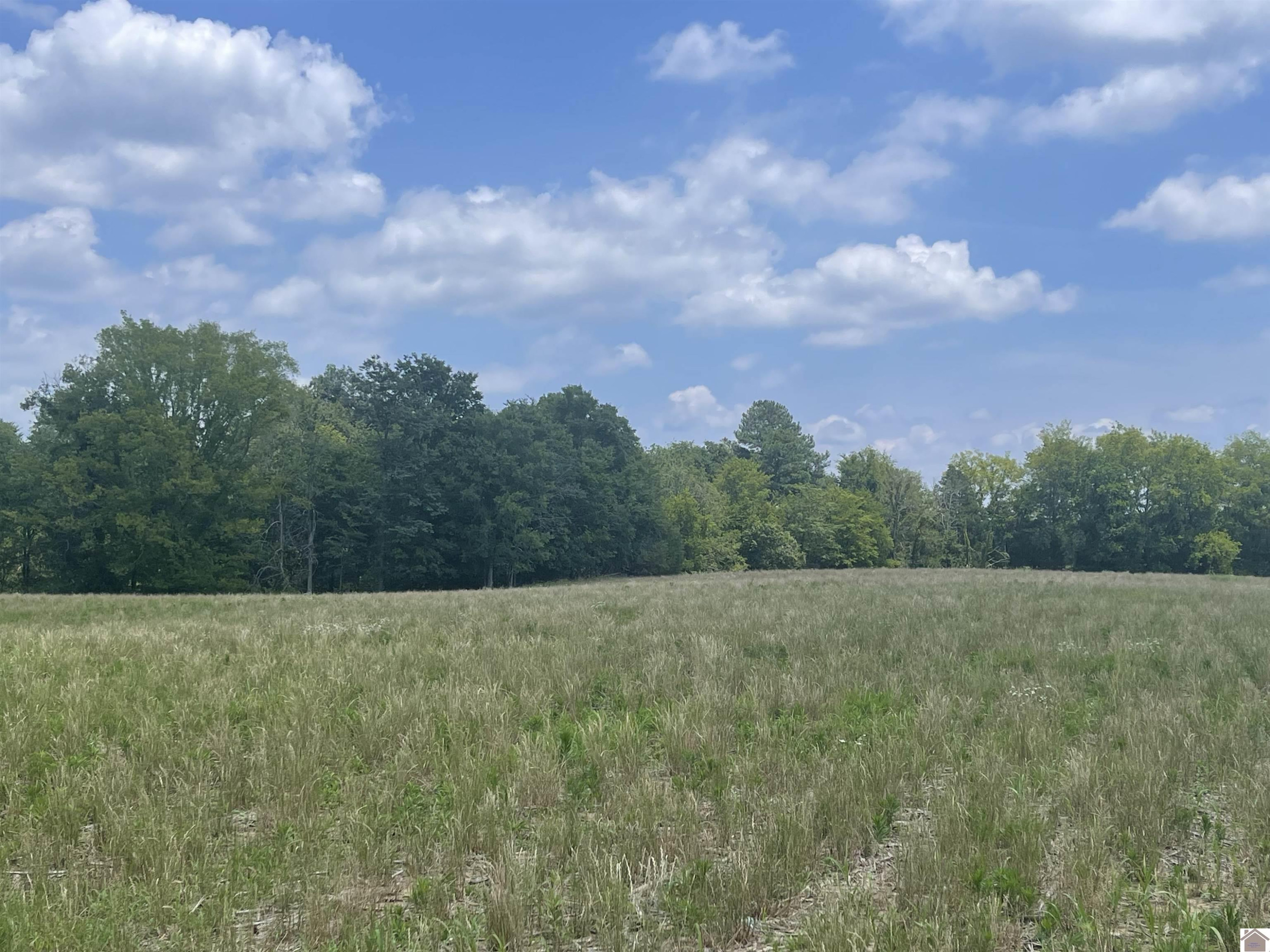 1670 Valentine Road