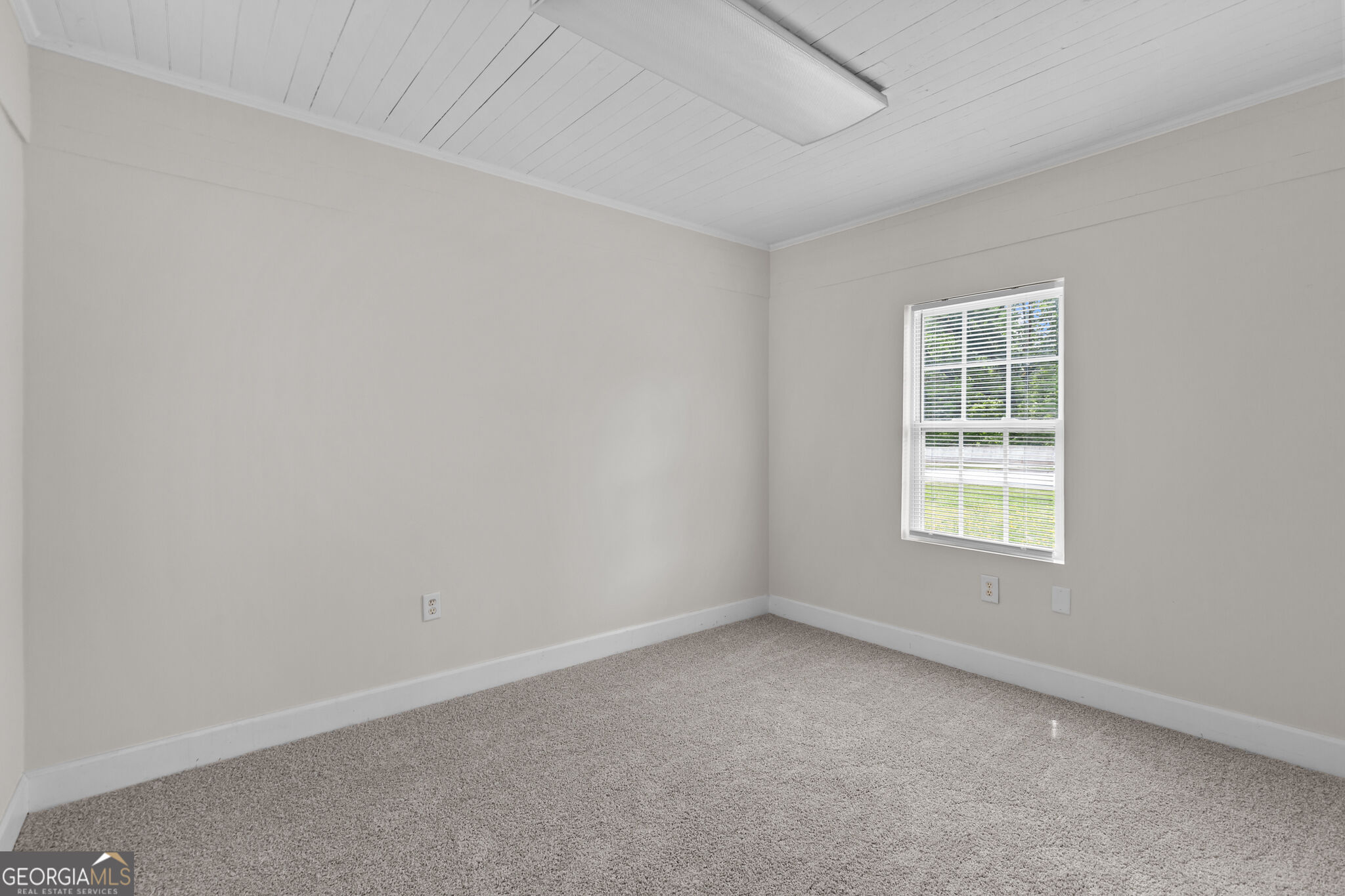 Empty carpeted room with a white paneled ceiling and a window overlooking greenery.