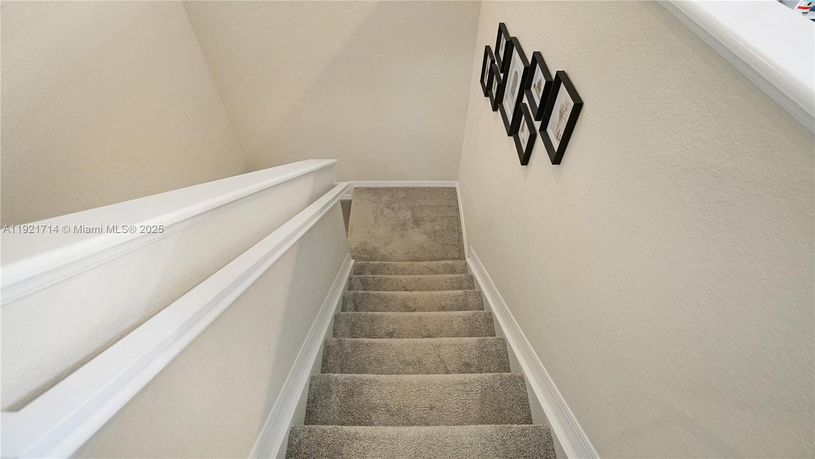 8605 Patron Ln