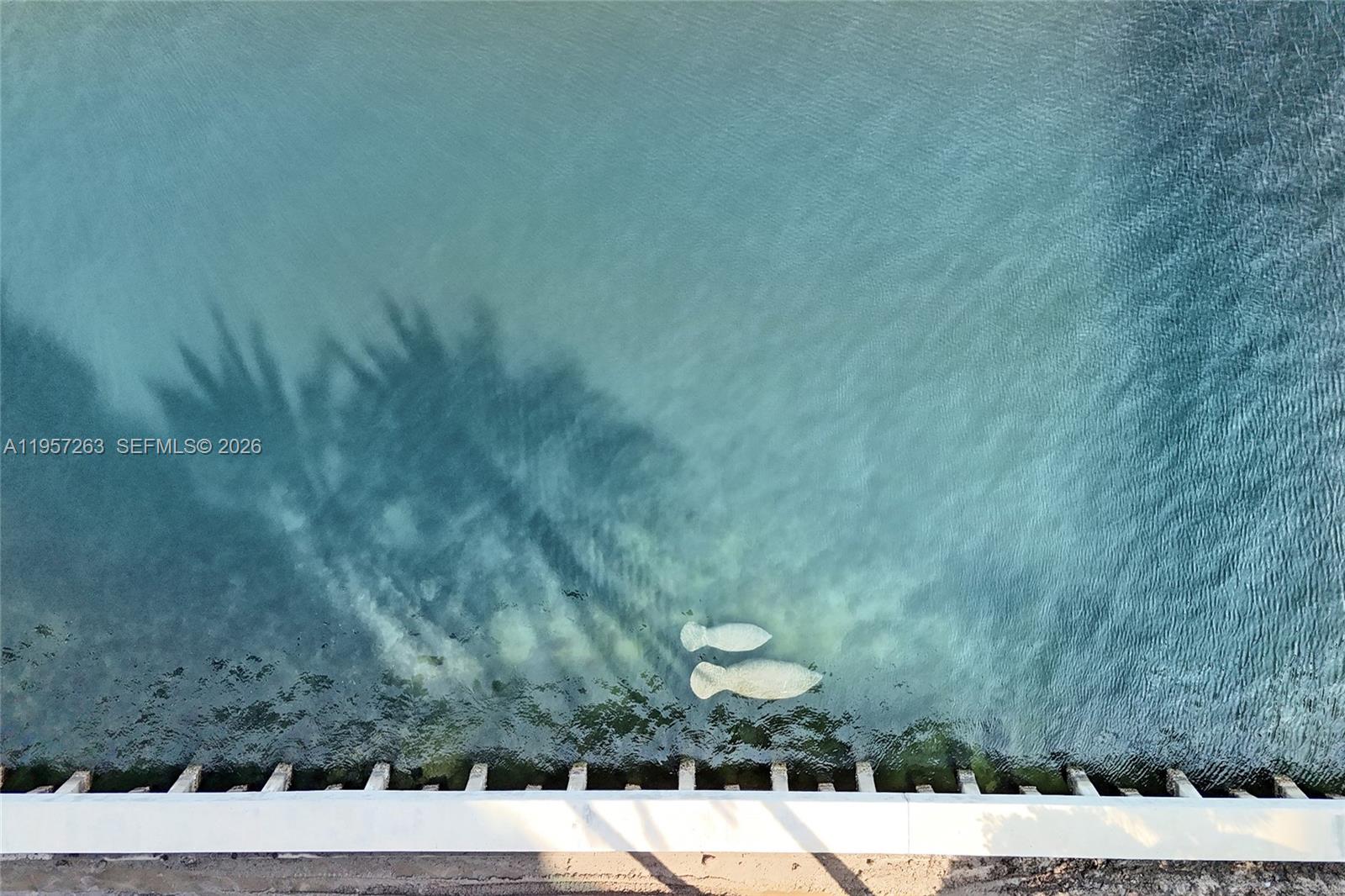 20201 E Country Club Dr # 1808