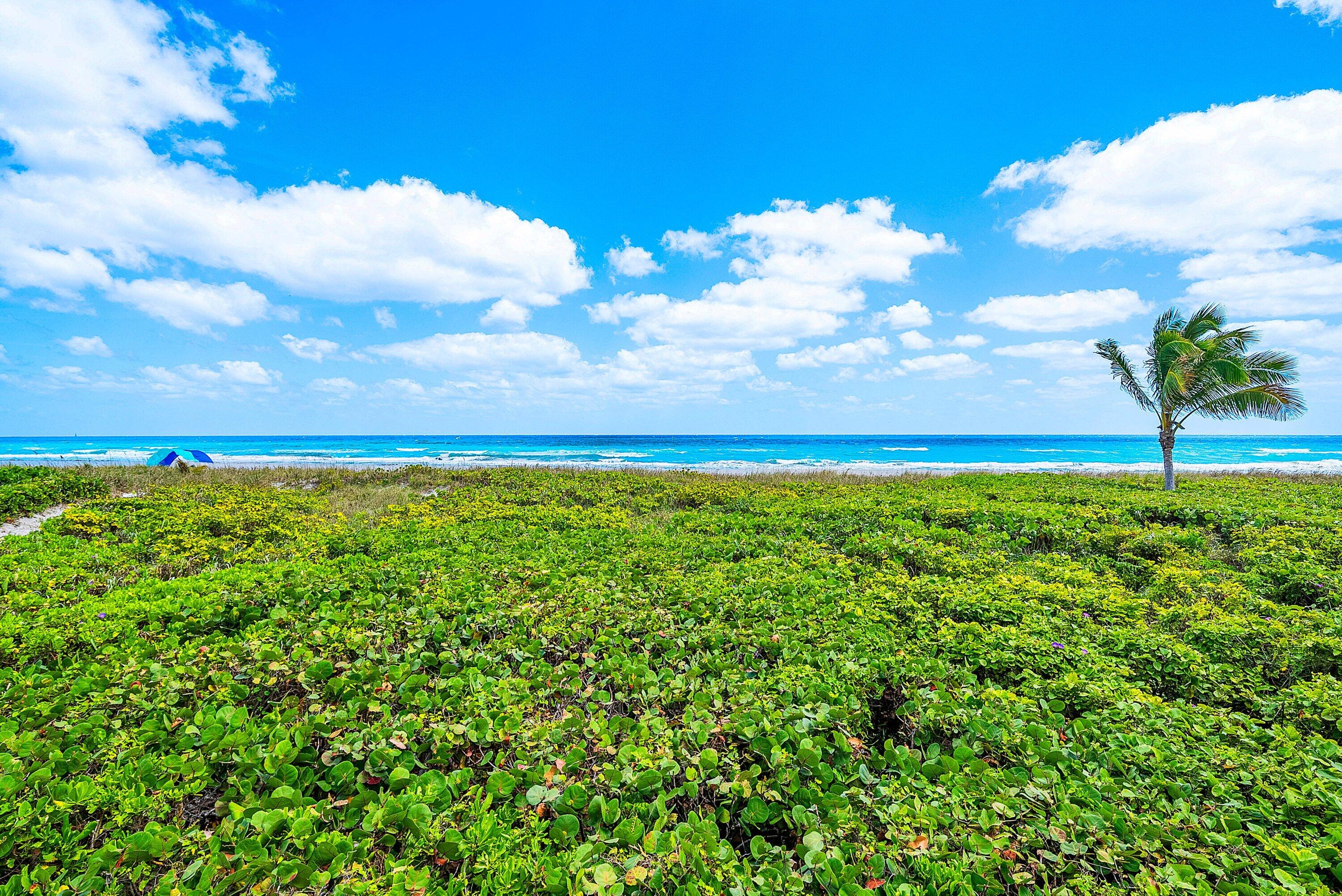 2155 S Ocean Boulevard