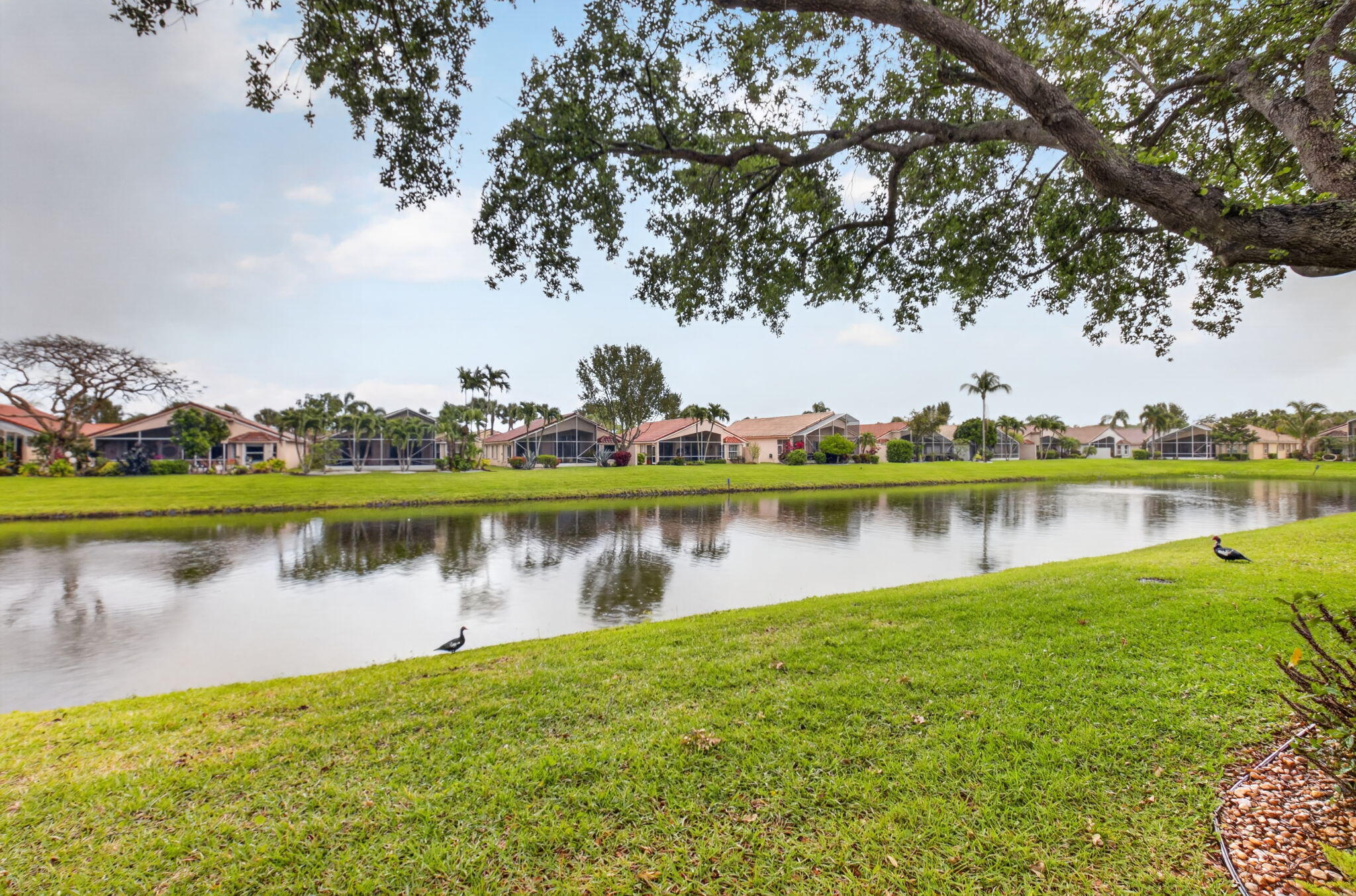 5256 Glenville Drive