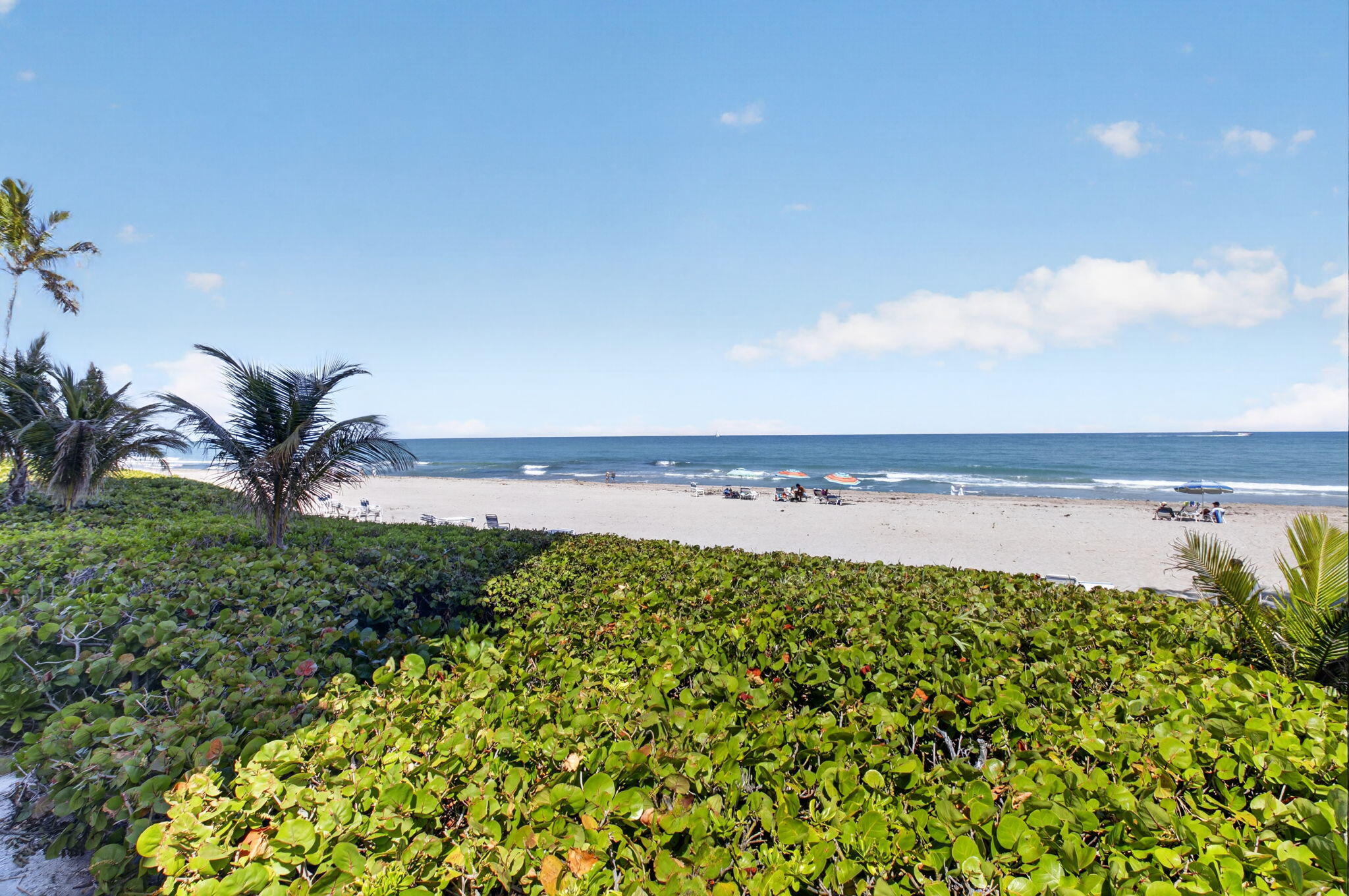 3215 S OCEAN Boulevard 302