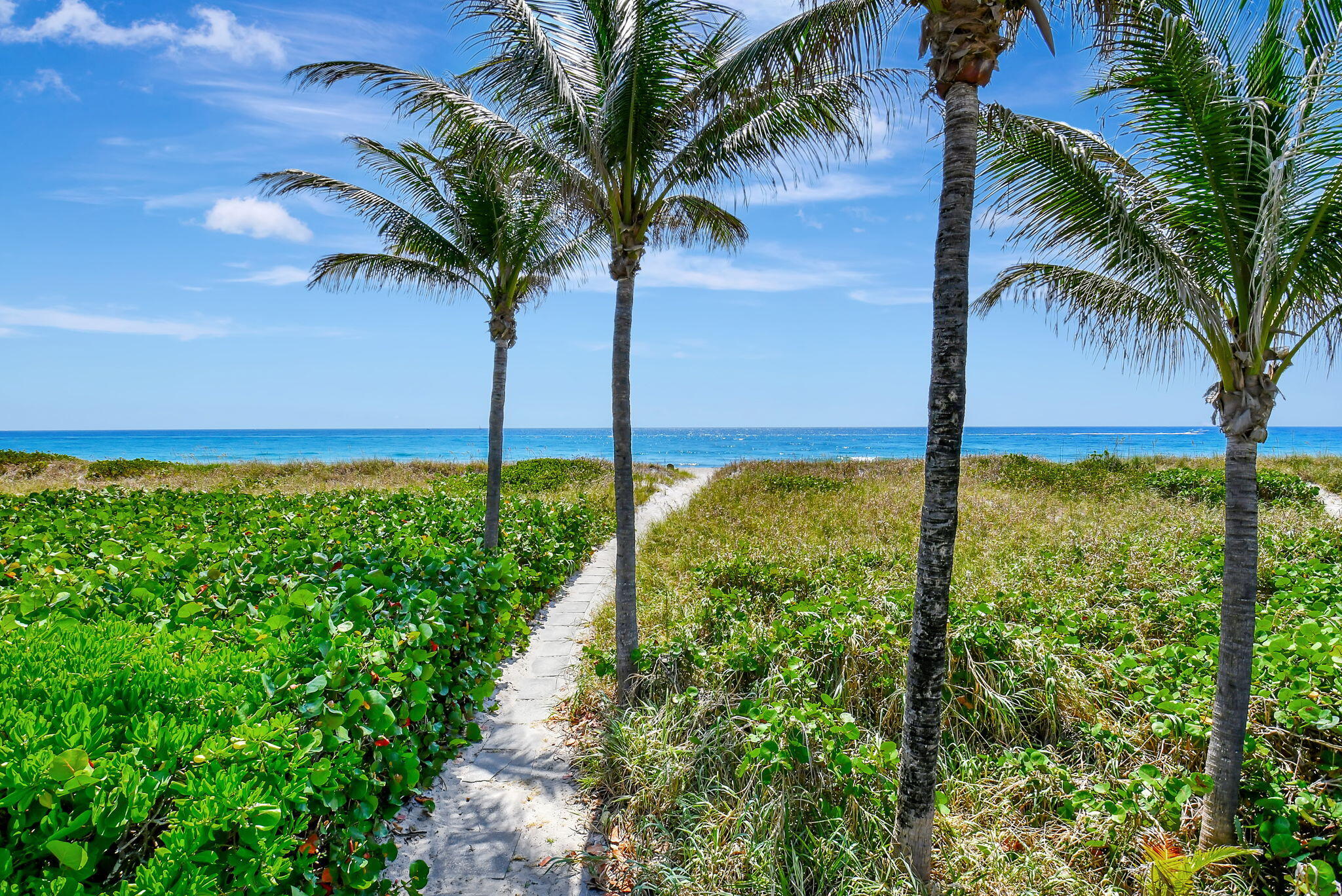 2115 S Ocean Boulevard 14