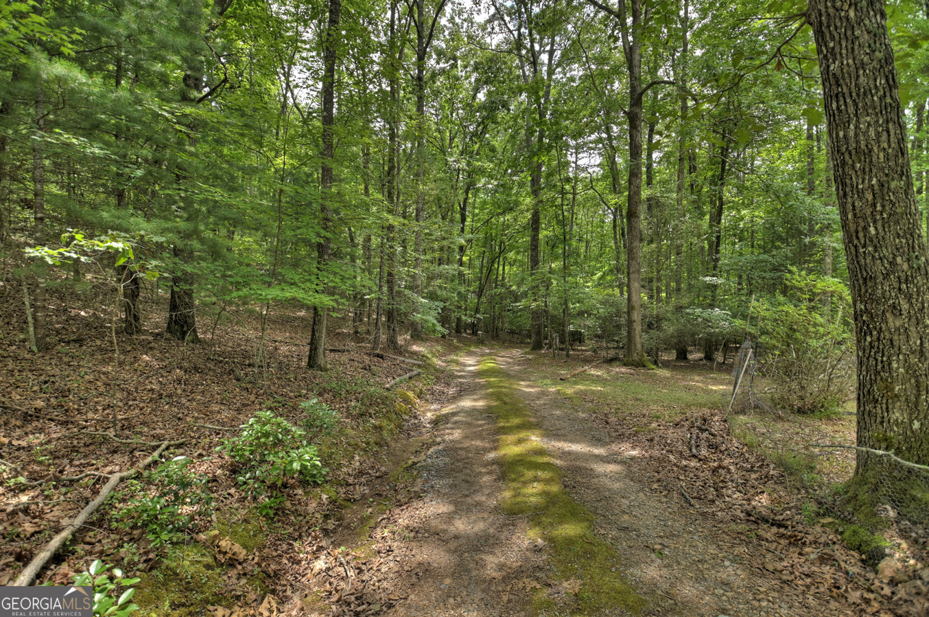 214 Mull Valley Road