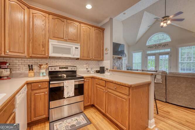 302 Brook Green Court
