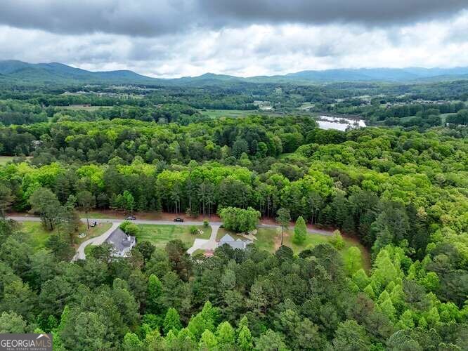 302 Brook Green Court