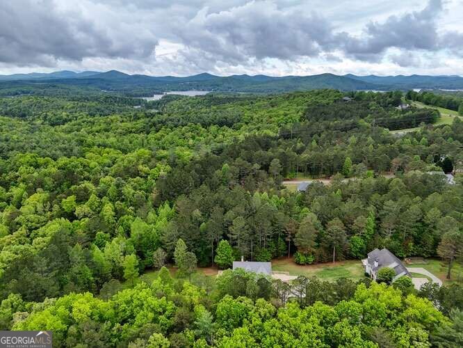 302 Brook Green Court