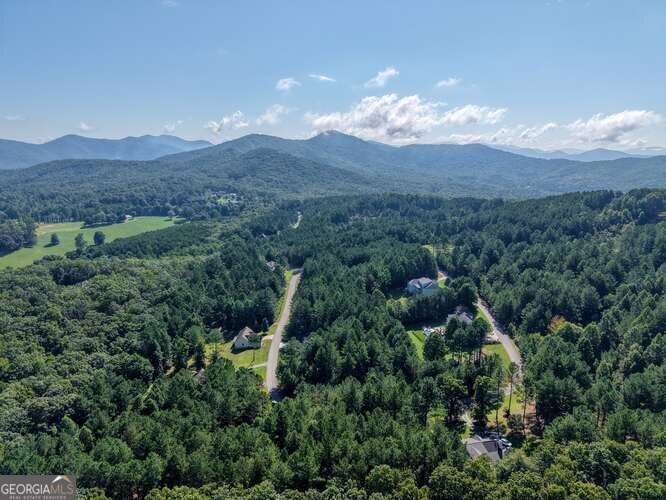 345 Loftis Mountain Way
