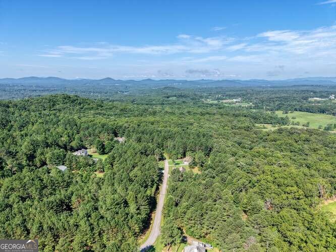 345 Loftis Mountain Way