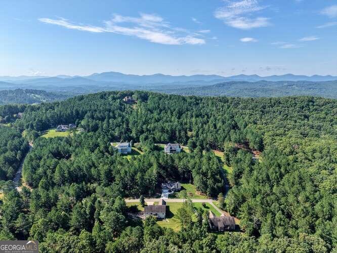 345 Loftis Mountain Way