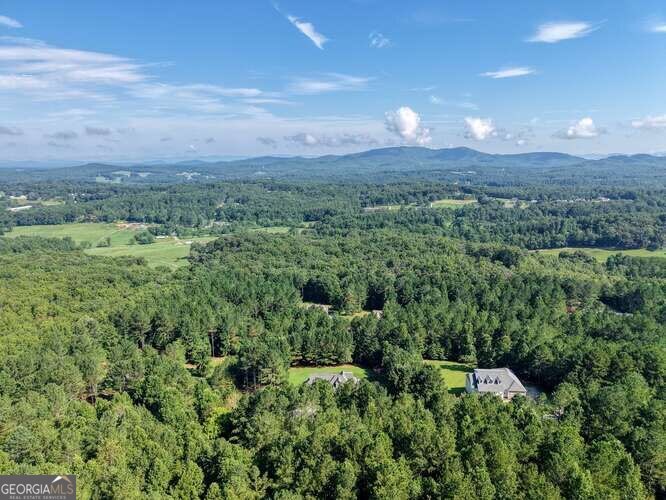 345 Loftis Mountain Way