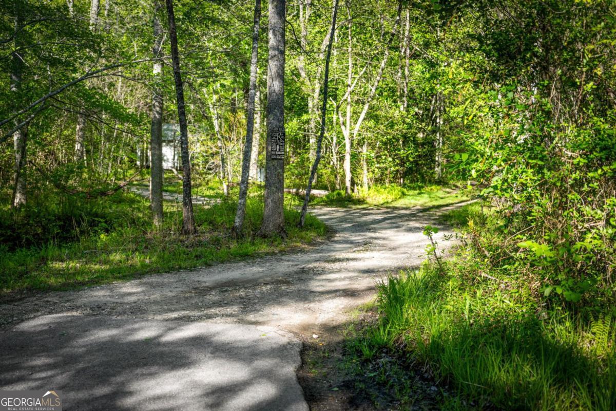 391 Forest Service 117 Road