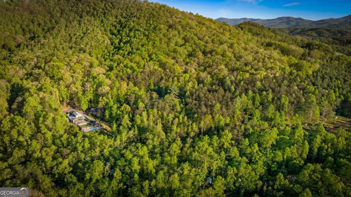 391 Forest Service 117 Road