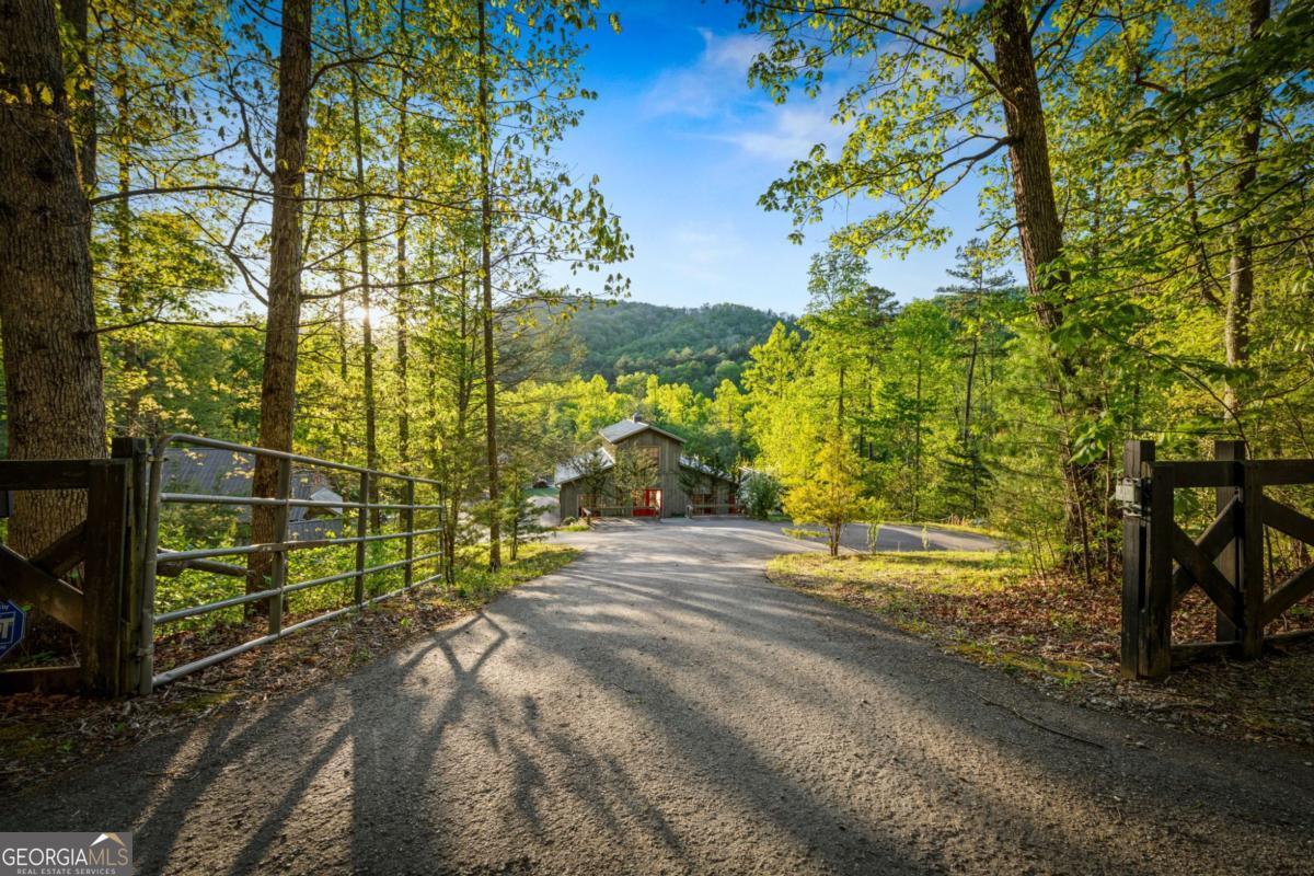 391 Forest Service 117 Road