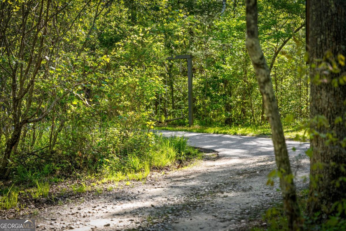 391 Forest Service 117 Road