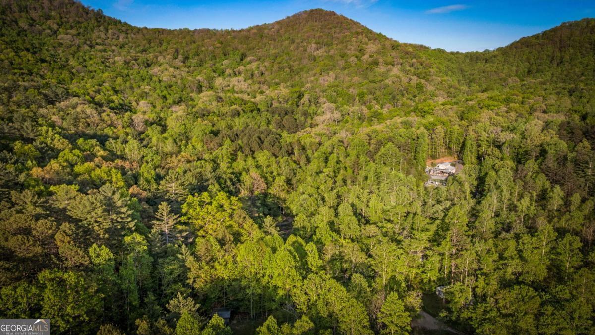 391 Forest Service 117 Road