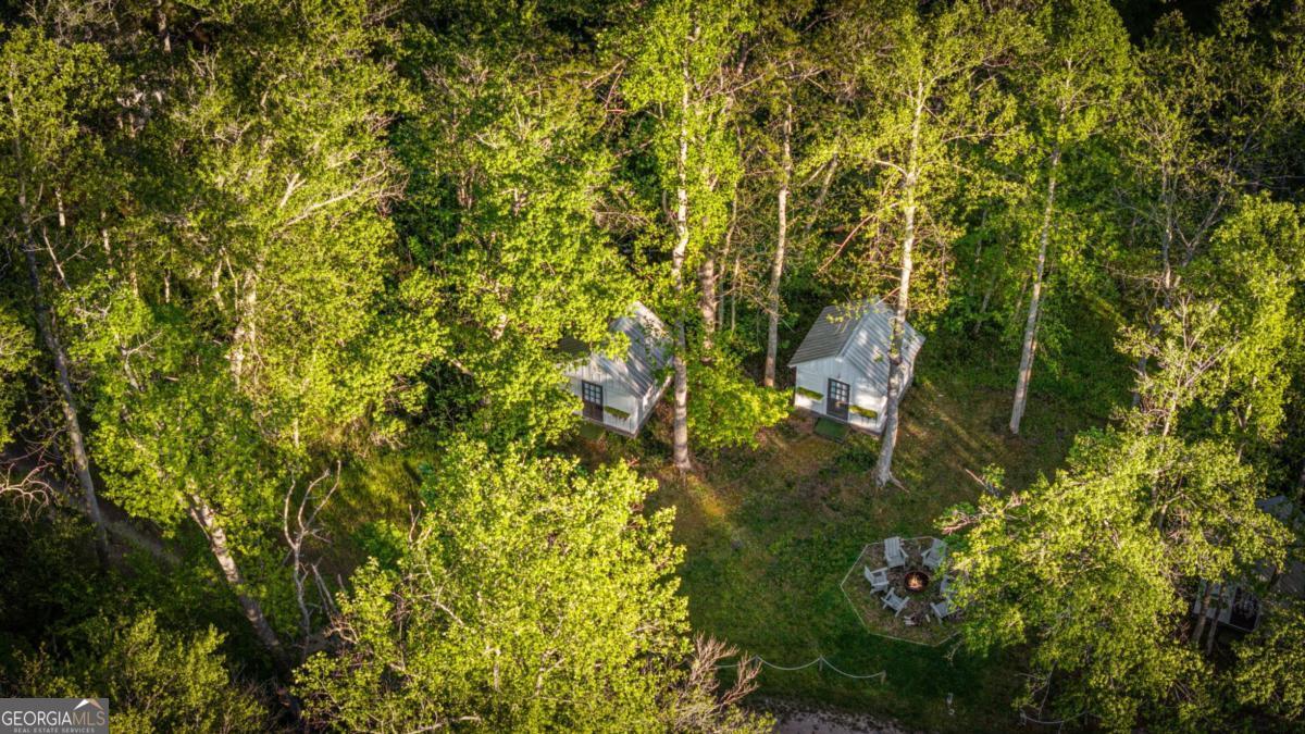391 Forest Service 117 Road