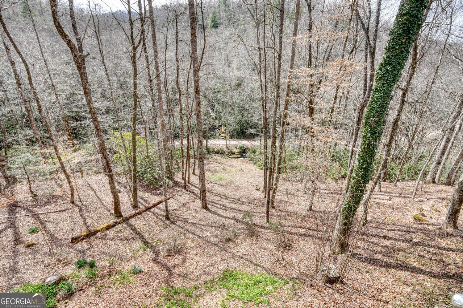 575 Carolina Springs Lane